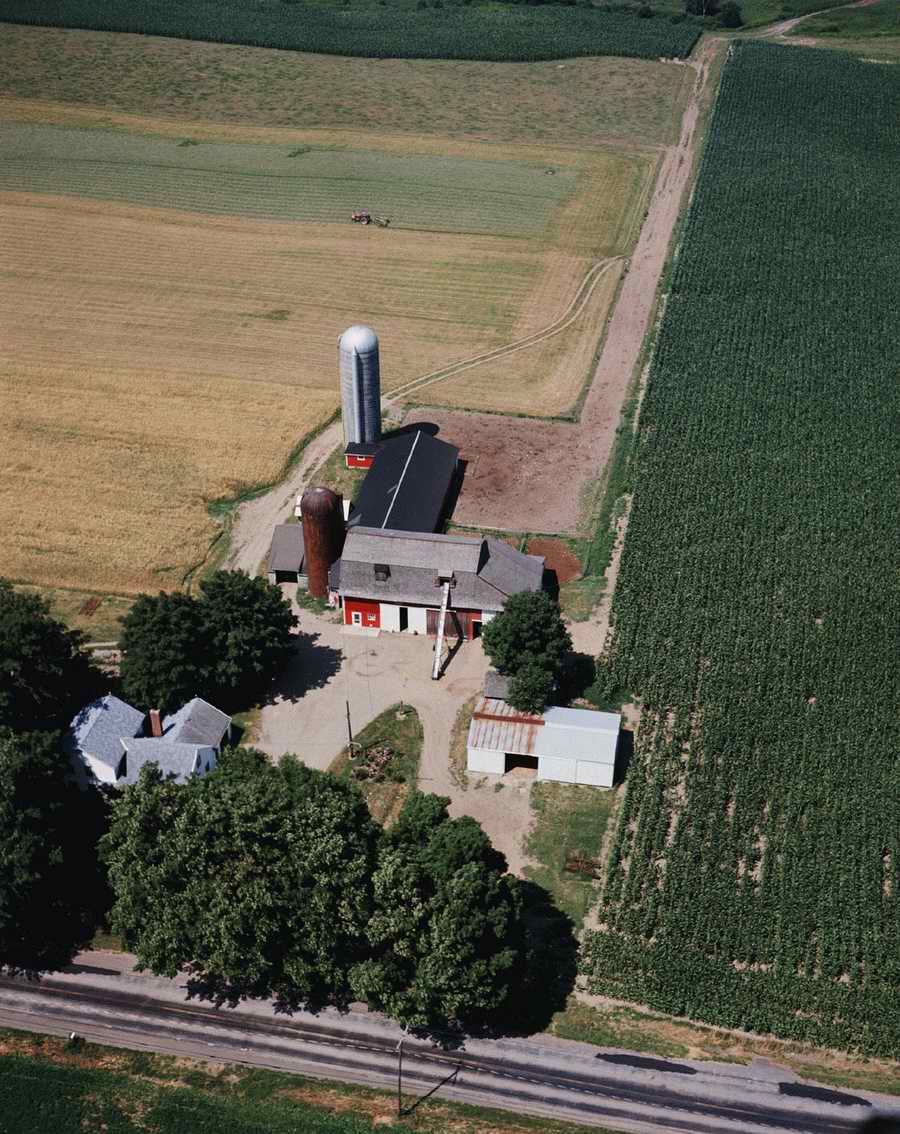 Field 2 - Corbis Online ></a>
<script language=JavaScript> 
  var txt = 