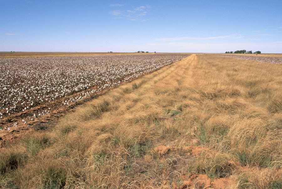 Field 2 - Corbis Online ></a>
<script language=JavaScript> 
  var txt = 