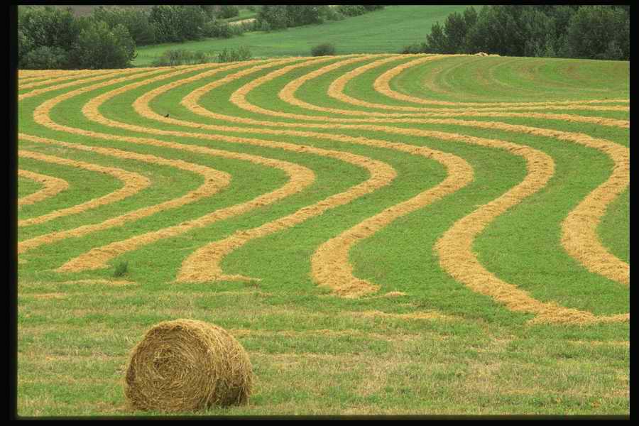 Field 2 - Corbis Online ></a>
<script language=JavaScript> 
  var txt = 