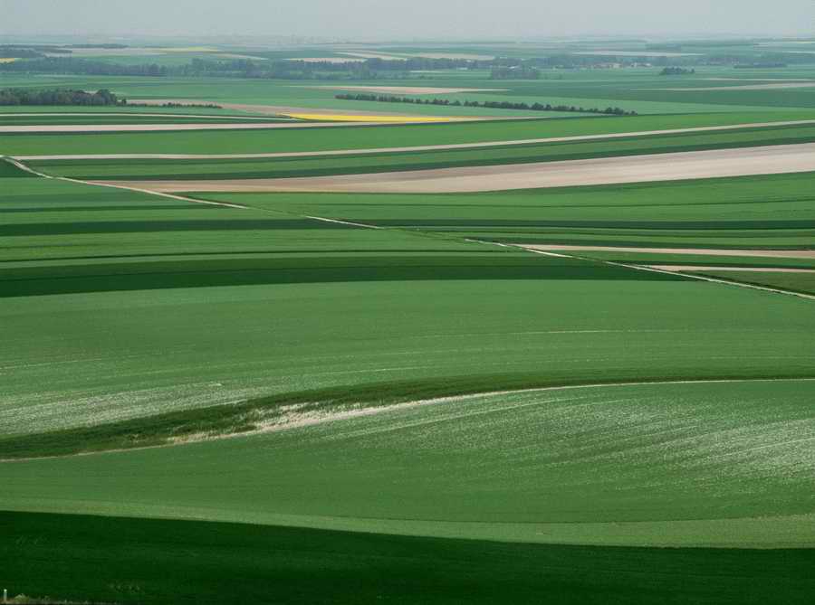 Field 2 - Corbis Online ></a>
<script language=JavaScript> 
  var txt = 