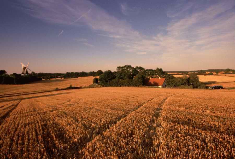 Field 2 - Corbis Online ></a>
<script language=JavaScript> 
  var txt = 