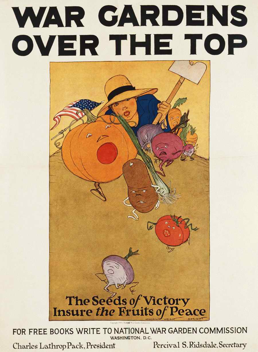 Poster Postcard 5 - Corbis Online ></a>
<script language=JavaScript> 
  var txt = 