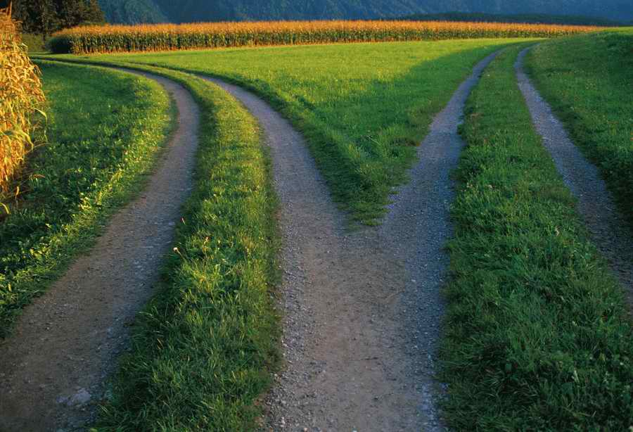 Road 3 - Corbis Online ></a>
<script language=JavaScript> 
  var txt = 
