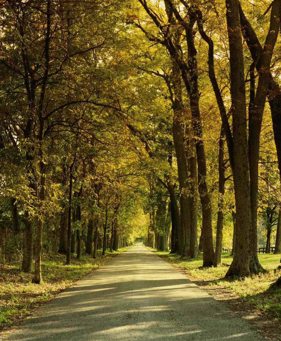 Road 3 - Corbis Online ></a>
<script language=JavaScript> 
  var txt = 