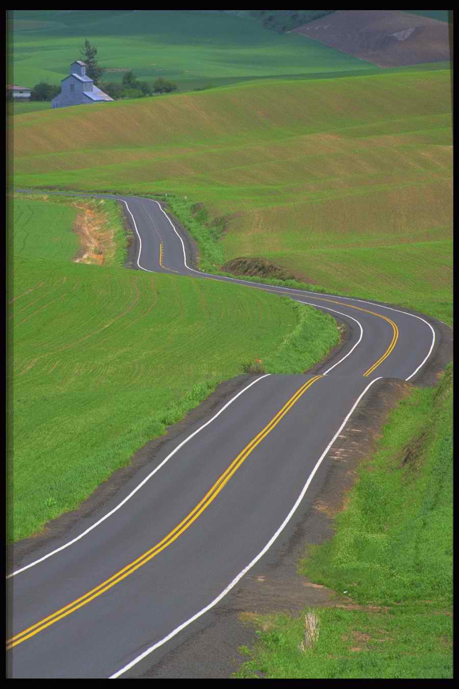 Road 3 - Corbis Online ></a>
<script language=JavaScript> 
  var txt = 