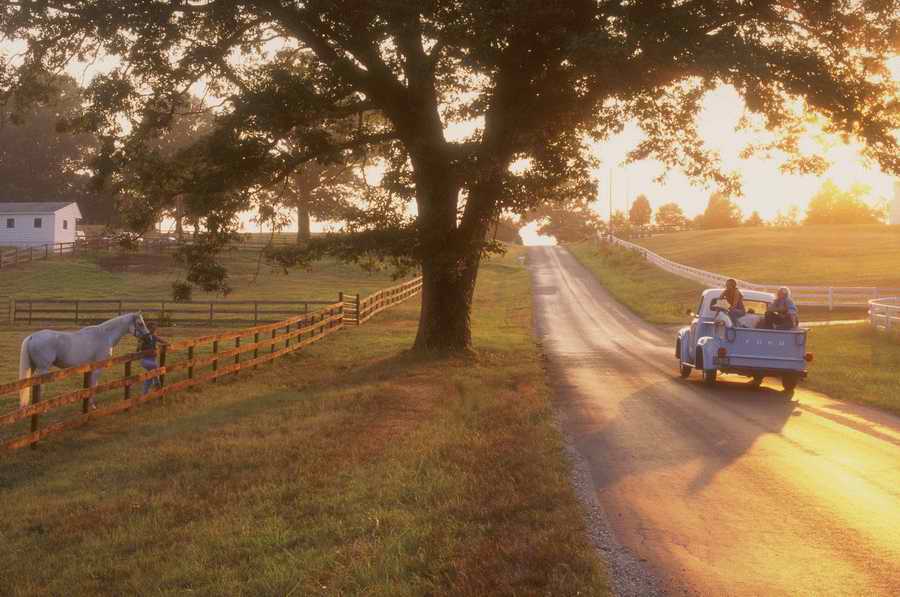 Road 3 - Corbis Online ></a>
<script language=JavaScript> 
  var txt = 