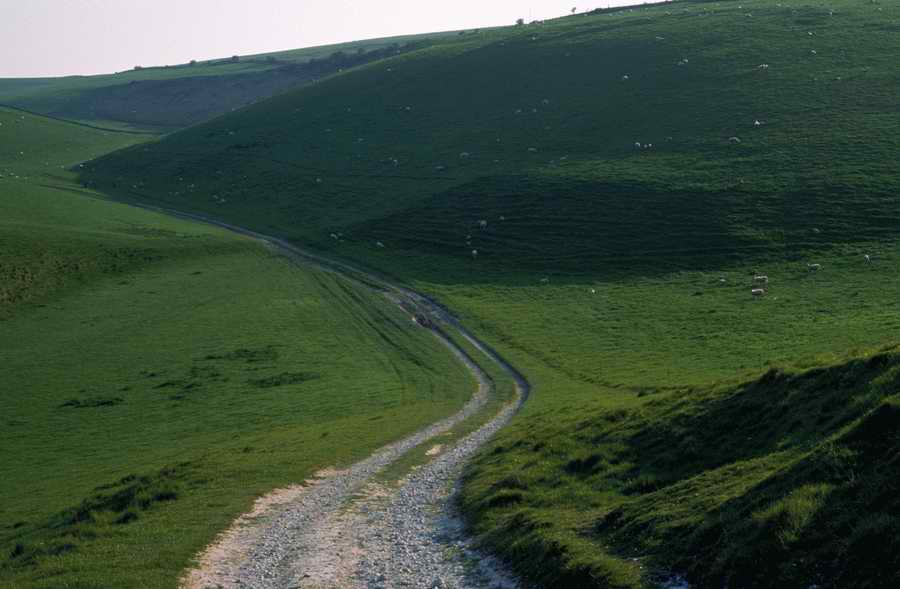 Road 3 - Corbis Online ></a>
<script language=JavaScript> 
  var txt = 