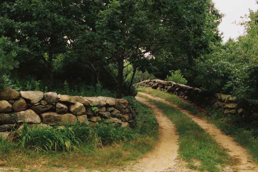 Road 3 - Corbis Online ></a>
<script language=JavaScript> 
  var txt = 