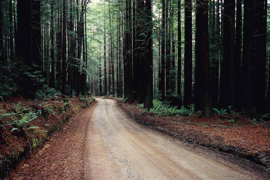 Road 3 - Corbis Online ></a>
<script language=JavaScript> 
  var txt = 