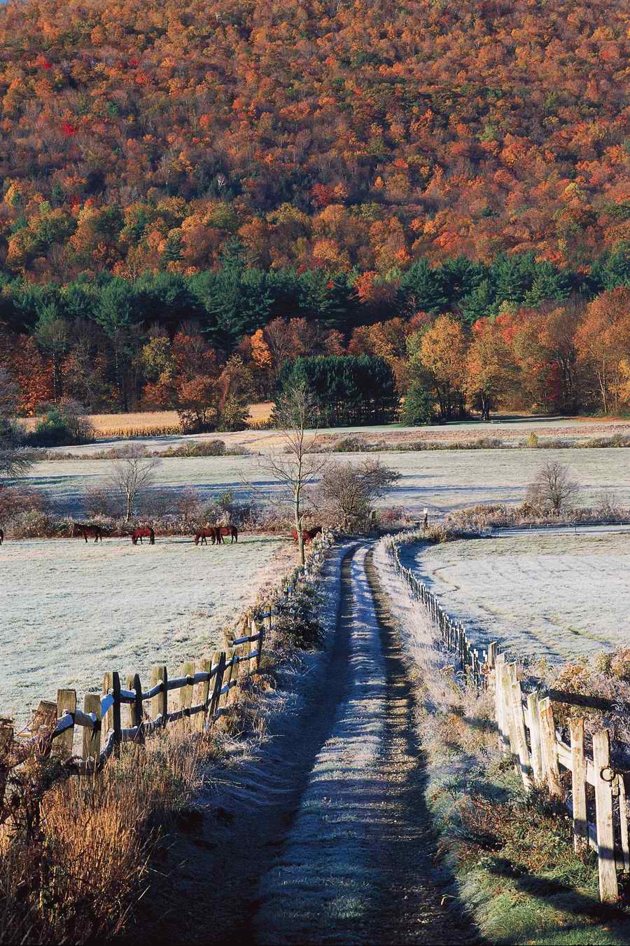 Road 3 - Corbis Online ></a>
<script language=JavaScript> 
  var txt = 