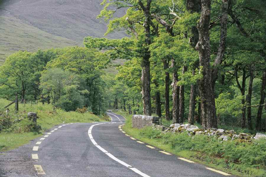 Road 3 - Corbis Online ></a>
<script language=JavaScript> 
  var txt = 