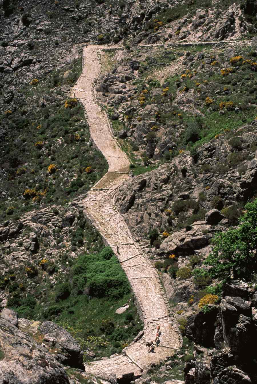 Road 3 - Corbis Online ></a>
<script language=JavaScript> 
  var txt = 