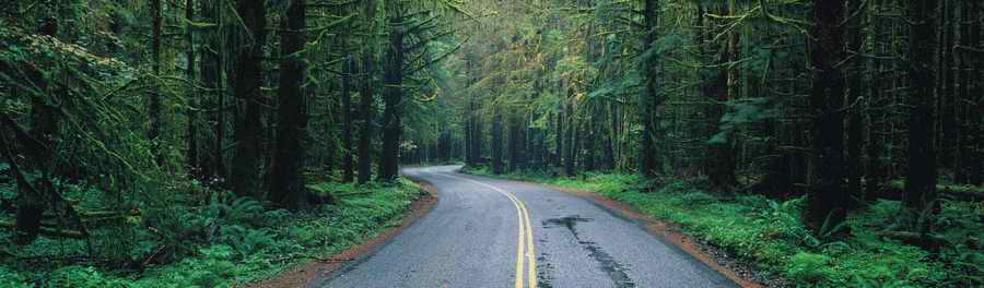 Road 3 - Corbis Online ></a>
<script language=JavaScript> 
  var txt = 