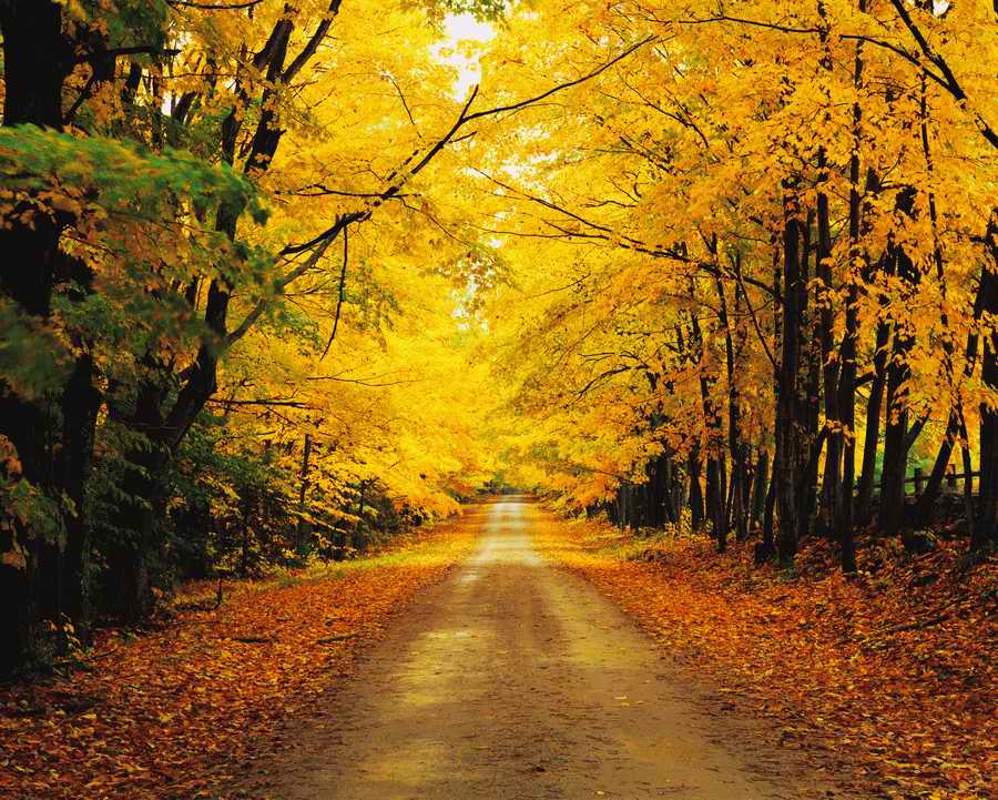 Road 3 - Corbis Online ></a>
<script language=JavaScript> 
  var txt = 