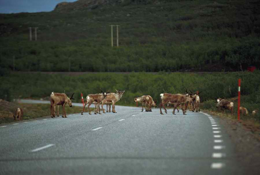 Road 3 - Corbis Online ></a>
<script language=JavaScript> 
  var txt = 