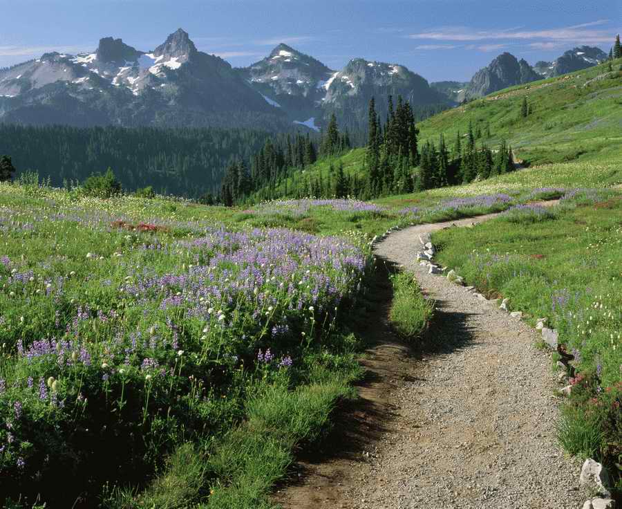 Road 3 - Corbis Online ></a>
<script language=JavaScript> 
  var txt = 