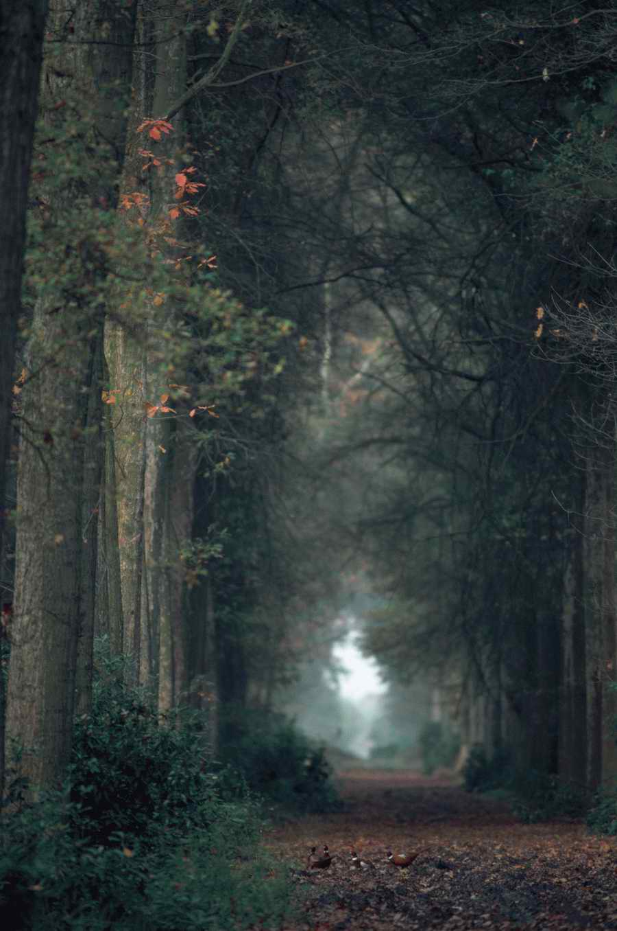 Road 3 - Corbis Online ></a>
<script language=JavaScript> 
  var txt = 