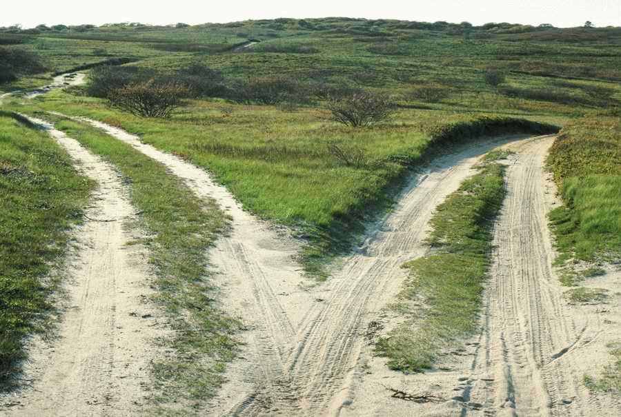 Road 3 - Corbis Online ></a>
<script language=JavaScript> 
  var txt = 