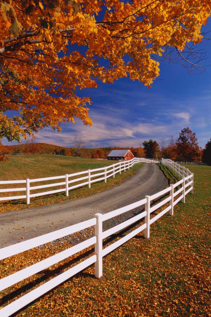 Road 3 - Corbis Online ></a>
<script language=JavaScript> 
  var txt = 
