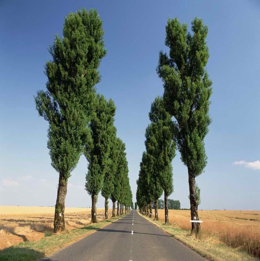 Road 3 - Corbis Online ></a>
<script language=JavaScript> 
  var txt = 