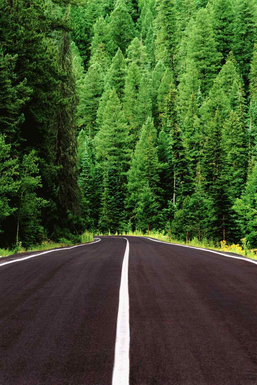 Road 3 - Corbis Online ></a>
<script language=JavaScript> 
  var txt = 