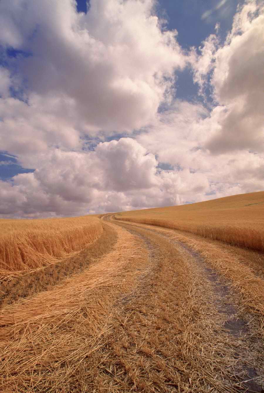 Road 3 - Corbis Online ></a>
<script language=JavaScript> 
  var txt = 