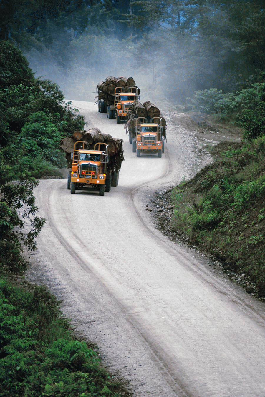 Transportation and Industry - Corbis  ></a>
<script language=JavaScript> 
  var txt = 