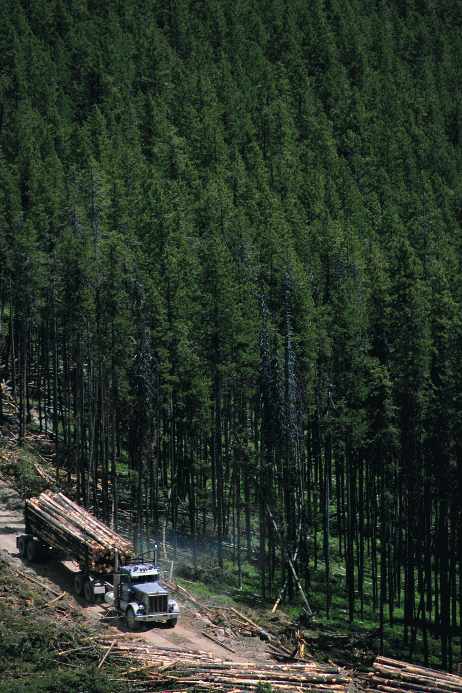 Transportation and Industry - Corbis  ></a>
<script language=JavaScript> 
  var txt = 