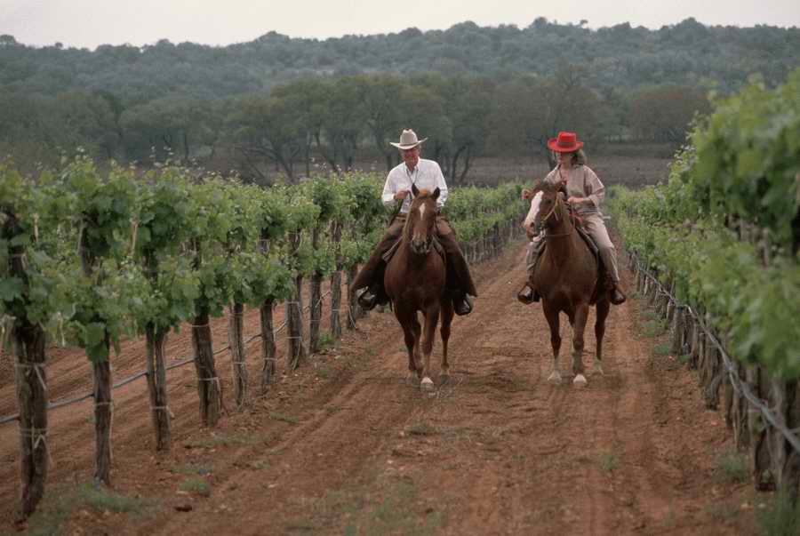 Vinification - Corbis Online ></a>
<script language=JavaScript> 
  var txt = 