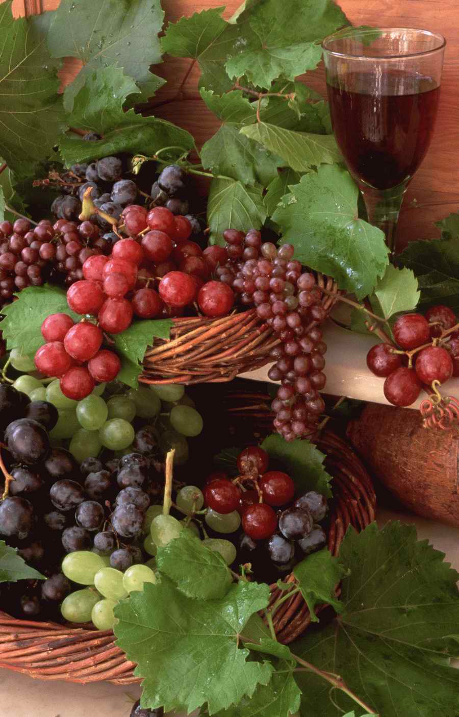 Vinification - Corbis Online ></a>
<script language=JavaScript> 
  var txt = 