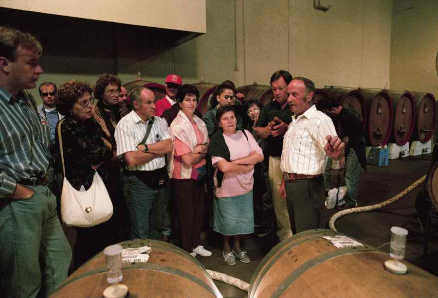 Vinification - Corbis Online ></a>
<script language=JavaScript> 
  var txt = 