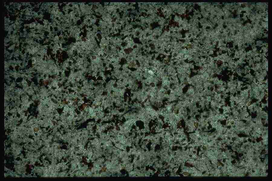 Backgrounds & Textures - Corel Professional Photos ></a>
<script language=JavaScript> 
  var txt = 