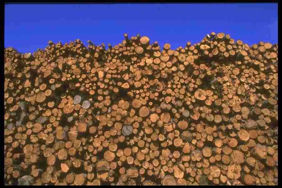 Backgrounds & Textures I - Corel Professional Photos ></a>
<script language=JavaScript> 
  var txt = 