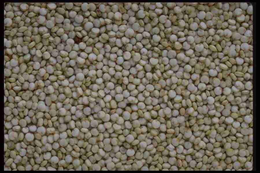 Backgrounds & Textures I - Corel Professional Photos ></a>
<script language=JavaScript> 
  var txt = 