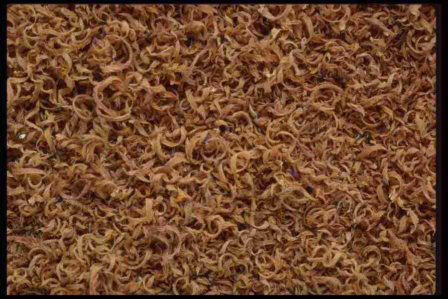 Backgrounds & Textures I - Corel Professional Photos ></a>
<script language=JavaScript> 
  var txt = 