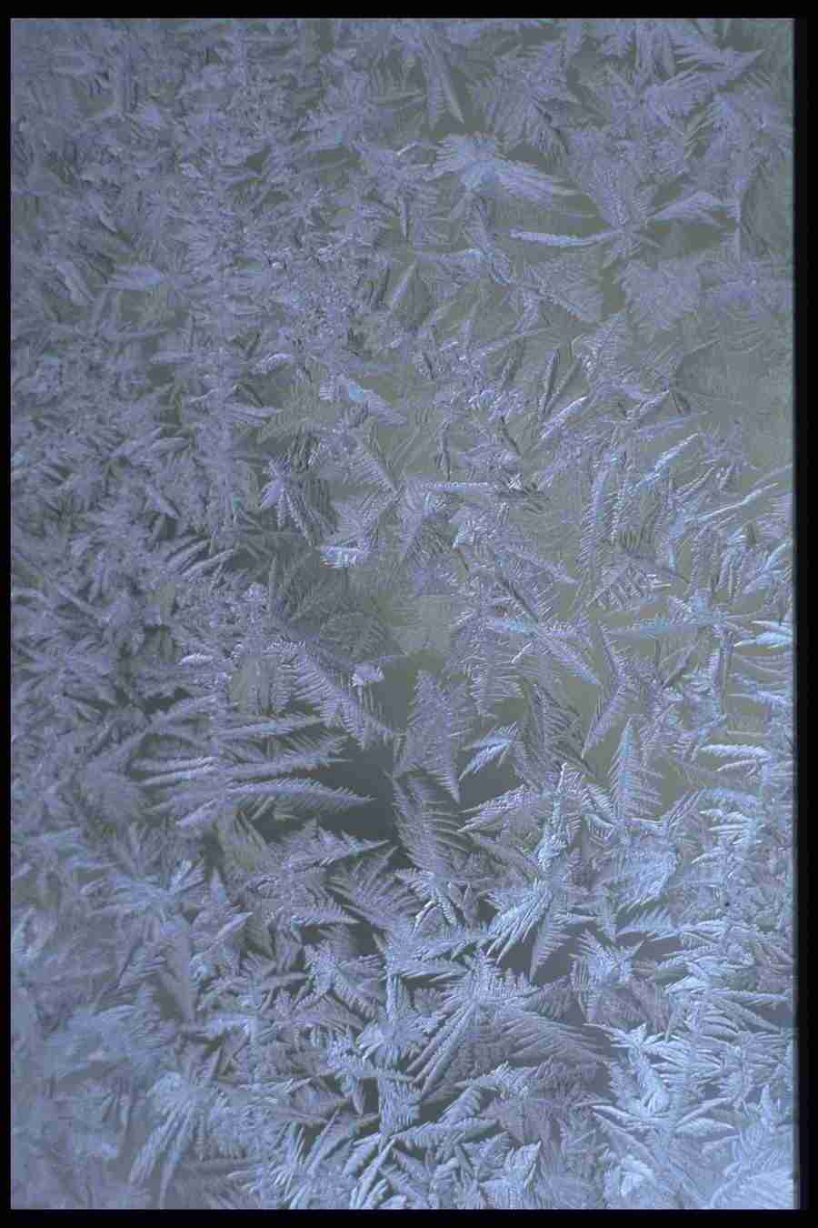 Backgrounds & Textures I - Corel Professional Photos ></a>
<script language=JavaScript> 
  var txt = 