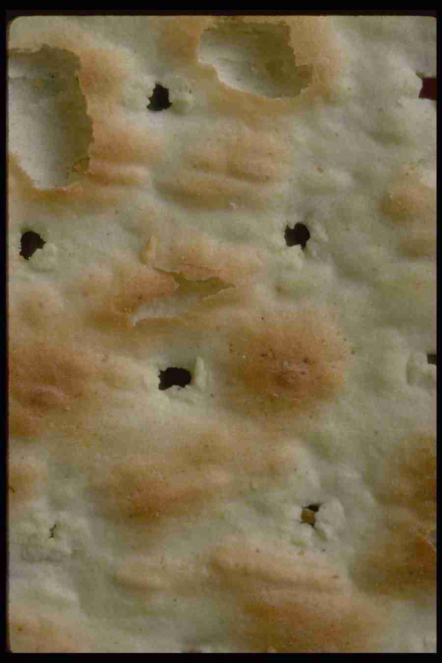 Backgrounds & Textures I - Corel Professional Photos ></a>
<script language=JavaScript> 
  var txt = 