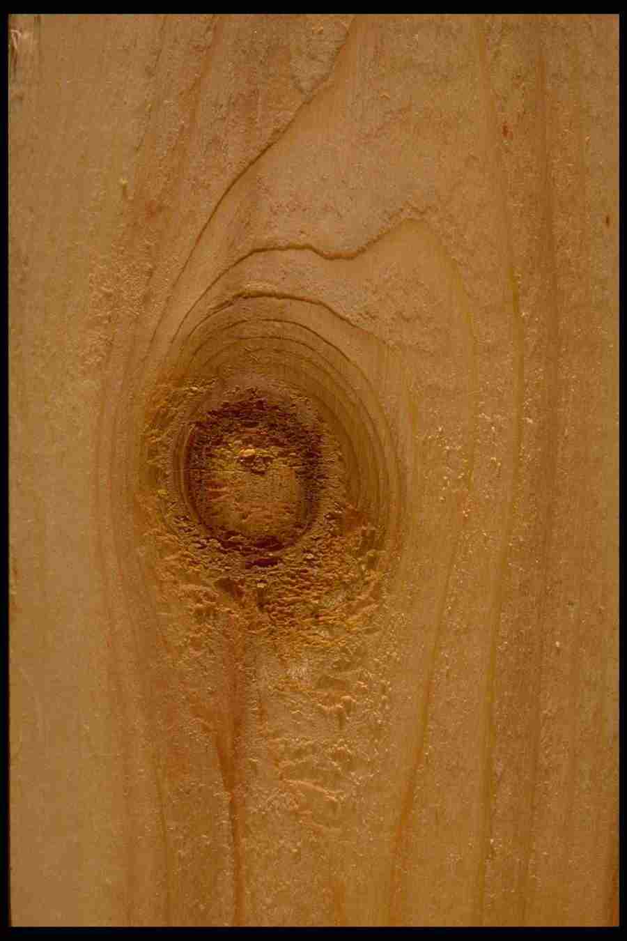 Backgrounds & Textures I - Corel Professional Photos ></a>
<script language=JavaScript> 
  var txt = 