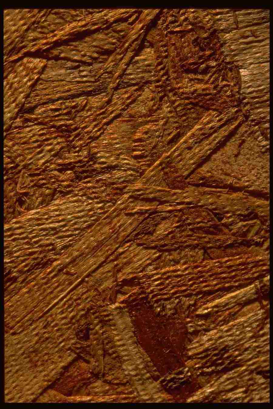 Backgrounds & Textures I - Corel Professional Photos ></a>
<script language=JavaScript> 
  var txt = 