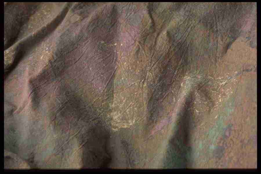 Backgrounds & Textures I - Corel Professional Photos ></a>
<script language=JavaScript> 
  var txt = 