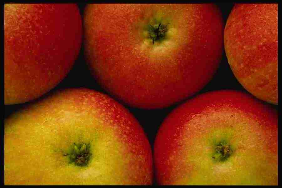 Backgrounds & Textures I - Corel Professional Photos ></a>
<script language=JavaScript> 
  var txt = 
