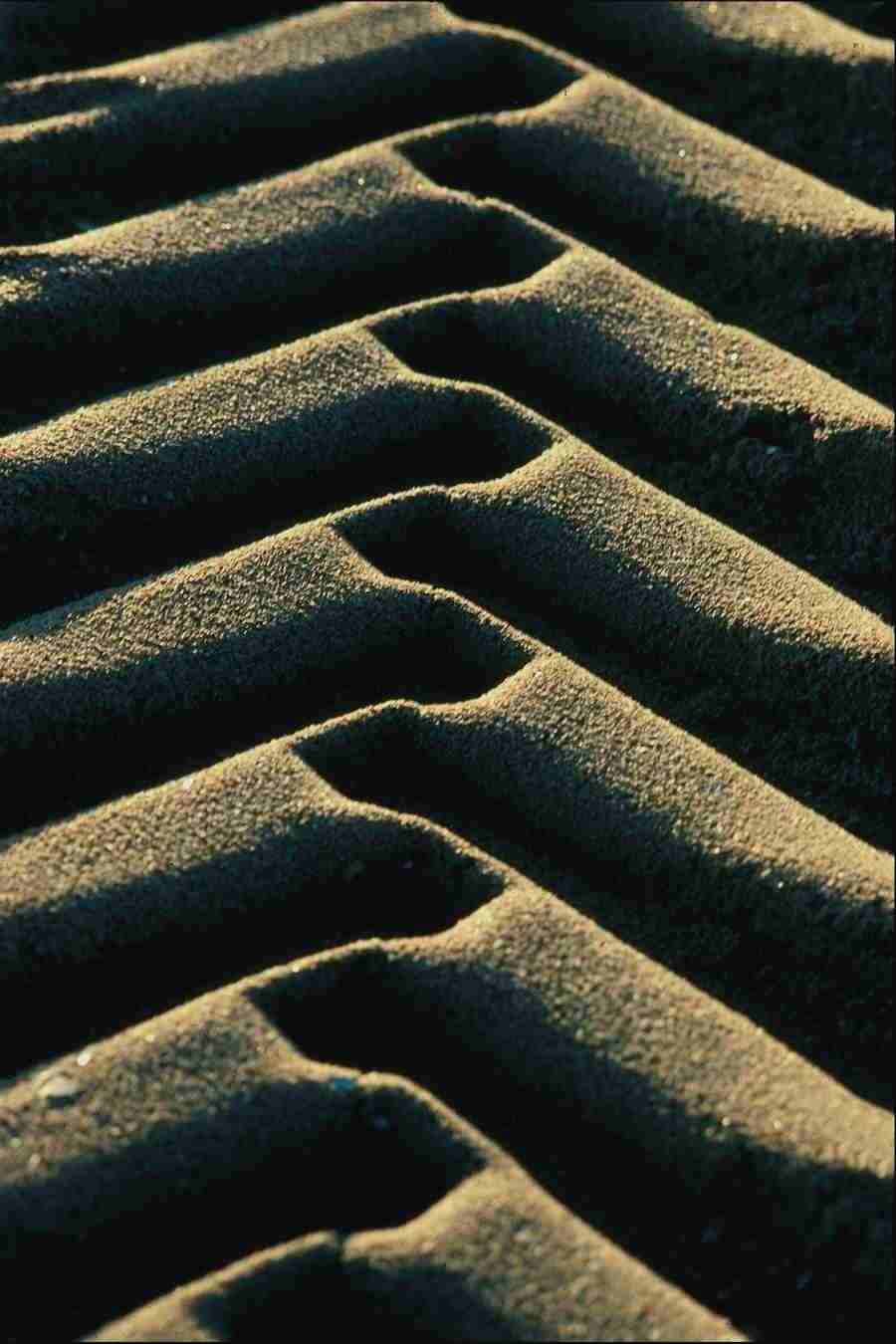 Backgrounds & Textures IV - Corel Professional Photos ></a>
<script language=JavaScript> 
  var txt = 