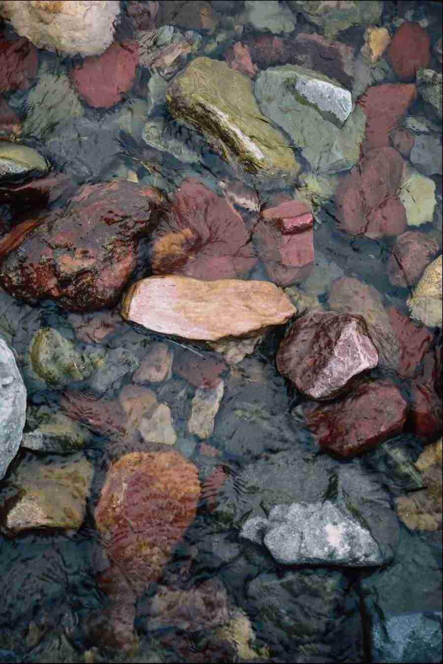 Backgrounds & Textures IV - Corel Professional Photos ></a>
<script language=JavaScript> 
  var txt = 