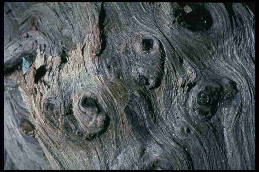 Barl Textures - Corel Professional Photos ></a>
<script language=JavaScript> 
  var txt = 