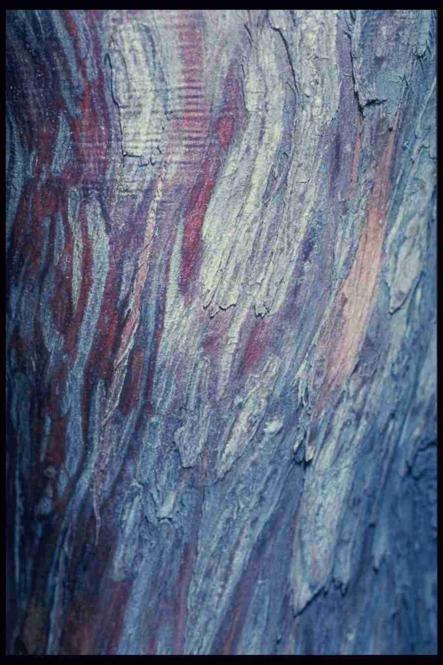 Barl Textures - Corel Professional Photos ></a>
<script language=JavaScript> 
  var txt = 