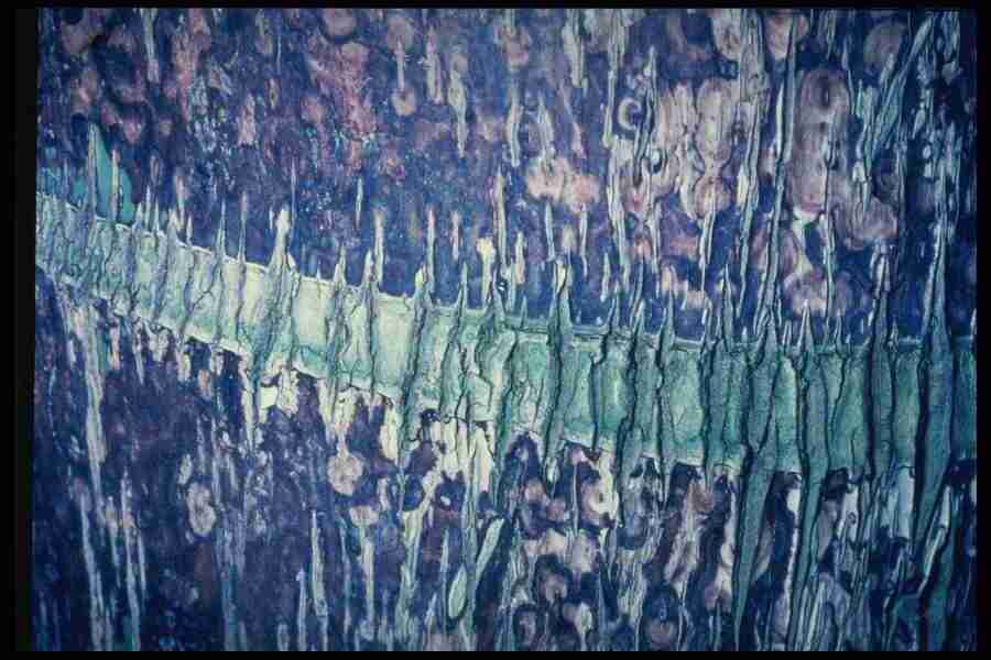 Barl Textures - Corel Professional Photos ></a>
<script language=JavaScript> 
  var txt = 