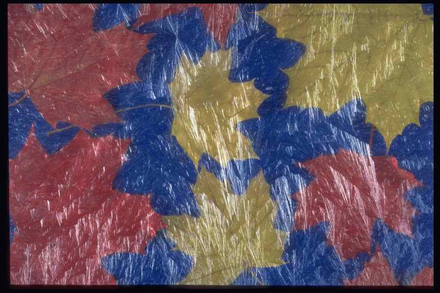 Colors And Textures - Corel Professional Photos ></a>
<script language=JavaScript> 
  var txt = 