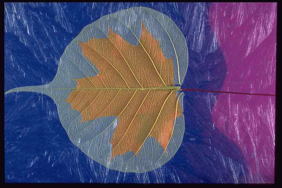 Colors And Textures - Corel Professional Photos ></a>
<script language=JavaScript> 
  var txt = 