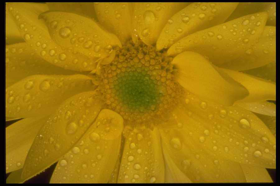 Colors And Textures - Corel Professional Photos ></a>
<script language=JavaScript> 
  var txt = 