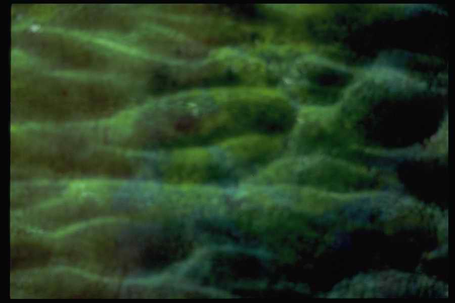 Colors And Textures - Corel Professional Photos ></a>
<script language=JavaScript> 
  var txt = 